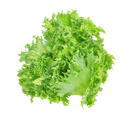 Obraz premium Green lettuce transparent png