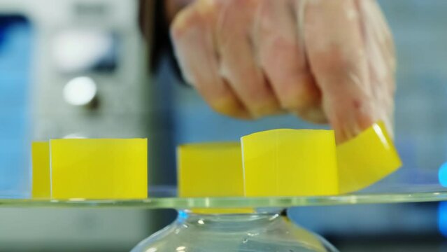 Man in gloves places jelly tubes on transparent dish. Restaurant chef shows proprietary presentation of dessert in kitchen
