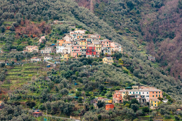 Fototapeta na wymiar Typical colored houses of the Cinque Terre region in Italy