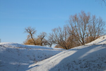 A snowy landscape with trees