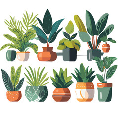 Fototapeta na wymiar Collection of Various Houseplants Displayed in Ceramic Pots With Background. Potted Exotic House Plants on White Shelf Against White Wall. Home Garden Banner - Vector