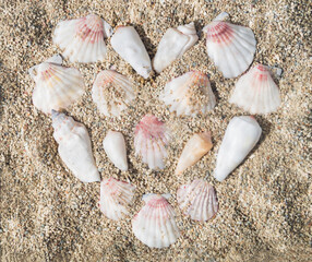 Creative scene of love heart symbol made with sea shells in water on sandy background. Minimal summer concept. Trendy summertime love idea. Beach sea shells aesthetic. Flat lay.