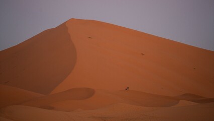 Fototapeta na wymiar Big dune during the blue hour in desert