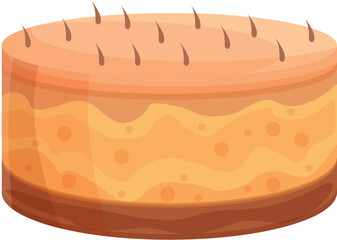 Liposuction skin icon cartoon vector. After health. Beauty care