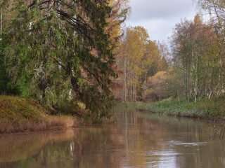 Fototapeta na wymiar Haukkavuori, nature park in Kerava, Finland, mid-autumn, forest landscape with river.