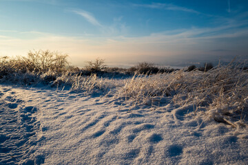 landscape with snow