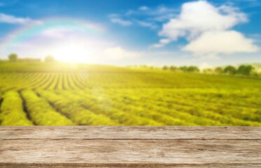 Wooden table top on blur green tea mountain and grass field.Fresh and Relax concept.For montage product display or design key visual layout.View of copy space.