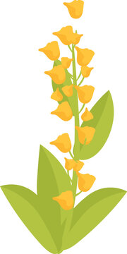 Myanmar flower plant icon cartoon vector. Festival day. Peace happy day