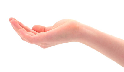 Woman hand isolated.