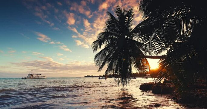 Tropical island wild beach with silhouettes of exotic palm tree leaves on the sea shore water sunset view, seascape sunrise landscape 4k video
