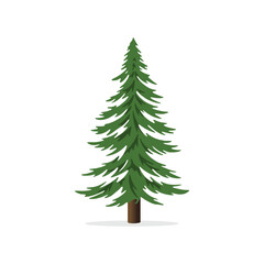 Pine Tree, Pine Forest Vector Illustration