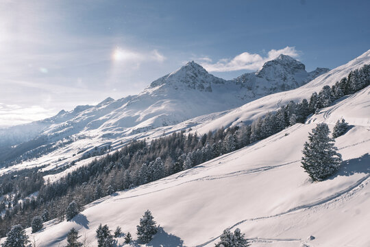 Covered in snow landscape (Winter in St moritz, Switzerland)