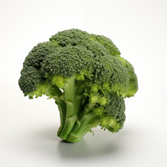 Fresh Broccoli on White Background (Macro Shot)