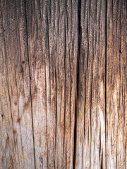 Ancient wood at the Tōdai-ji temple in Nara, Japan