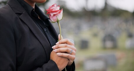 Funeral, cemetery and person with rose sad for remembrance, burial ceremony and memorial service....