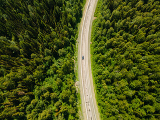 Aerial top view asphalt road in a pine green forest on a sunny day. Nature reserve, ecopark. Nature background. Photo from the drone.