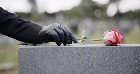 Funeral, cemetery and person with rose on tombstone for remembrance, ceremony and memorial service. Depression, sadness and hands with flower on gravestone for mourning, grief and loss in graveyard - obrazy, fototapety, plakaty