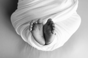 The tiny foot of a newborn baby. Soft feet of a new born in a blanket. Close up toes, heels and...