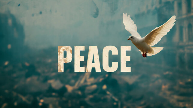 Paloma blanca como s&iacute;mbolo de la paz 