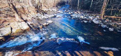 Winter Mouse Creek hiking