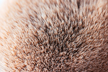 Makeup cosmetology brush macro view