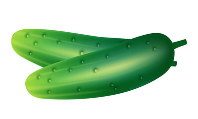 Cucumber. Vector clipart isolated on white background.