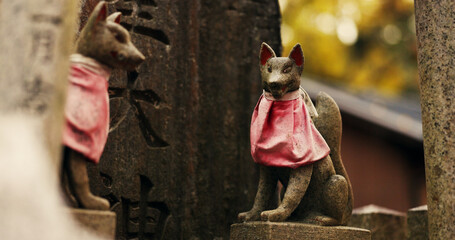 Fox statue at Shinto shrine in forest with spiritual history, Japanese culture and vintage art in...