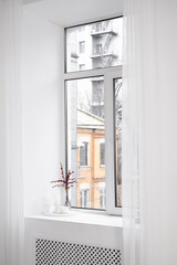 White window minimalist composition. Windowsill with berry brunch and white cup