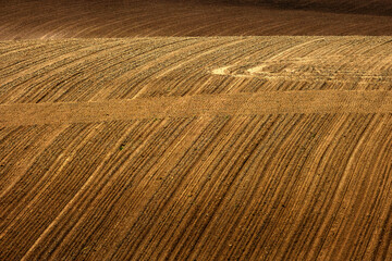 Rolling Plowed Field on Farm with Furrow Marks and Rows Texture