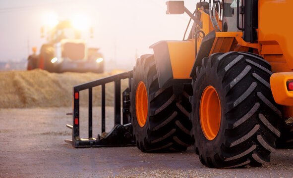 Tractor with pitchfork working with unloading silage at dairy farm, compacting fresh harvest chopped maize with heavy roller for silo, fermented feed for food of cow