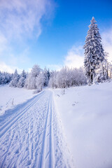 Langlaufrunde bei bestem Kaiserwetter im verschneiten Thüringer Wald bei Floh-Seligenthal - Thüringen - Deutschland