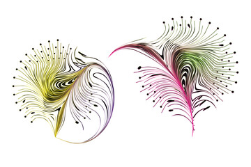 Decorative zen tangle feather boho style colorful for tattoo.