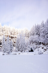 Langlaufrunde bei bestem Kaiserwetter im verschneiten Thüringer Wald bei Floh-Seligenthal - Thüringen - Deutschland