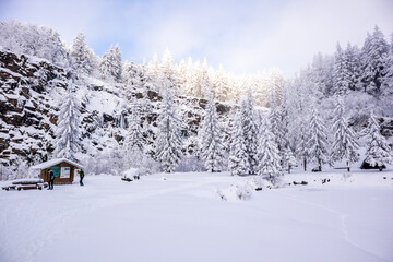 Obraz premium Langlaufrunde bei bestem Kaiserwetter im verschneiten Thüringer Wald bei Floh-Seligenthal - Thüringen - Deutschland