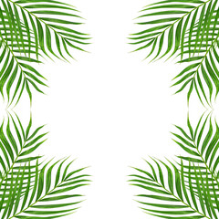 Green Leaves Border or Frame with white background, Transparent background