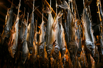 Traditional salted salmons hanging in the city of Murakami in Niigata Prefecture.