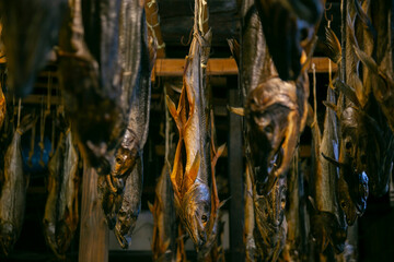 Traditional salted salmons hanging in the city of Murakami in Niigata Prefecture.