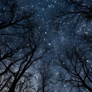 Night sky with stars and silhouettes of trees in the forest