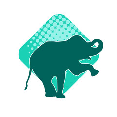 Silhouette of a big elephant animal. Silhouette of a wild elephant animal.