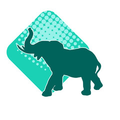 Silhouette of a big elephant animal. Silhouette of a wild elephant animal.