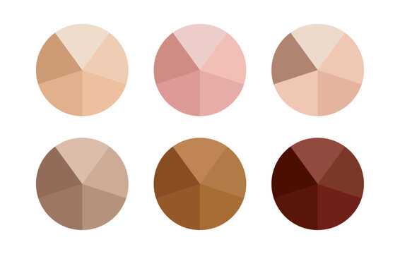 Skin tone set of six group in circle on white background. Skin tan tone with Light pale, pale, brown, tanned, dark brown and black skin tone shades in group circle with names - Vector Art