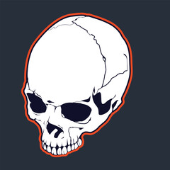 skull head vector illustration