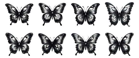 Butterfly vintage etching set. Retro drawing butterflies with open wings ancient sketch, etched moth animals black tattoos engraving on white - obrazy, fototapety, plakaty