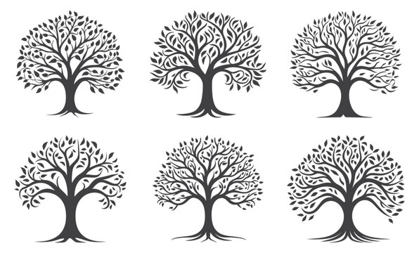 Simple tree silhouettes. Environmental trees with curved branches and foliage vector icons, black nature wood graphics