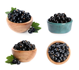 Ripe black currants in bowls and green leaves isolated on white, set