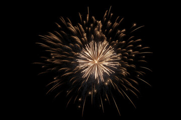 Naklejka premium A vibrant explosion of colors illuminating the dark night sky, showcasing a dazzling fireworks display