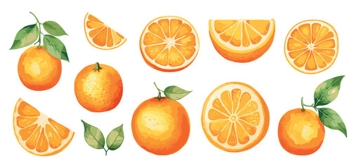 Fresh orange watercolor slices. Isolated oranges with green leaves. Natural organic fruits, healthy vitamins tropical food vector clipart