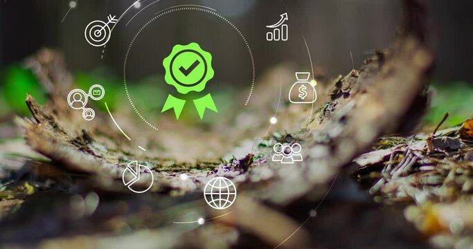 Assessment for the certificate concept. Green technologies concept. Net zero concept, CO2 reduce.Long term strategy 2050. 4k footage