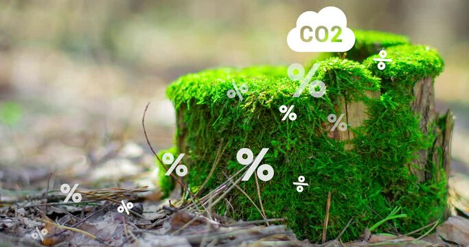 Reduce CO2 emission concept in the hand for environmental, global warming. Sustainable development and green business based on renewable energy. CO2 reduce.2050.4k footage