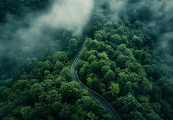 Highway, road and drone view of a path through the forest for vacation, adventure and transportation. Clean, green and jungle landscape for environment, sustainability and ecology background - obrazy, fototapety, plakaty